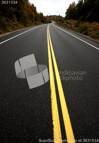 Image of Algonquin Park Muskoka Ontario Road