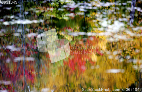 Image of Algonquin Park Muskoka Ontario