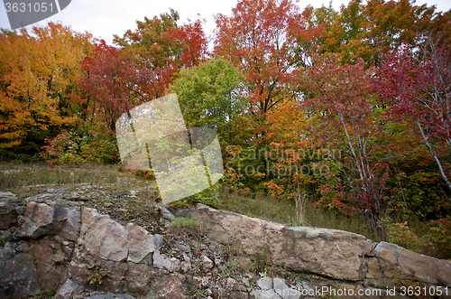 Image of Algonquin Park Muskoka Ontario