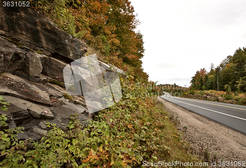 Image of Algonquin Park Muskoka Ontario