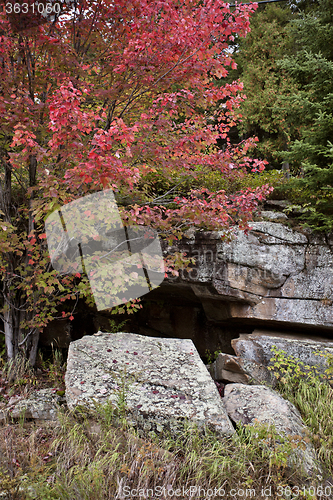 Image of Algonquin Park Muskoka Ontario