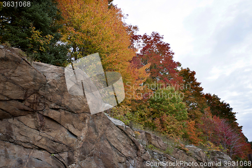 Image of Algonquin Park Muskoka Ontario