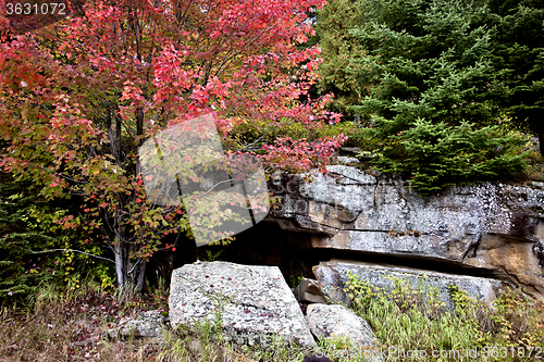 Image of Algonquin Park Muskoka Ontario