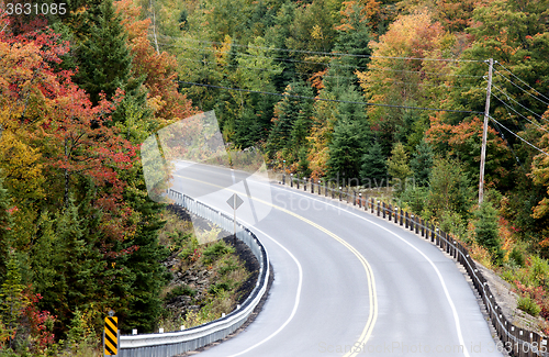 Image of Algonquin Park Muskoka Ontario Road