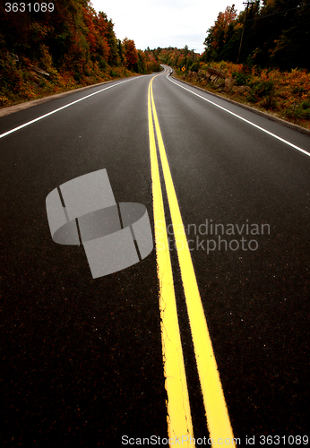 Image of Algonquin Park Muskoka Ontario Road