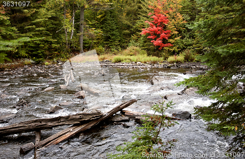 Image of Algonquin Park Muskoka Ontario