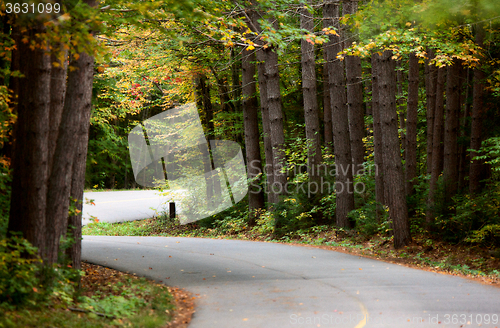 Image of Algonquin Park Muskoka Ontario Road