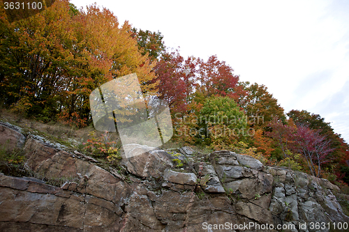 Image of Algonquin Park Muskoka Ontario