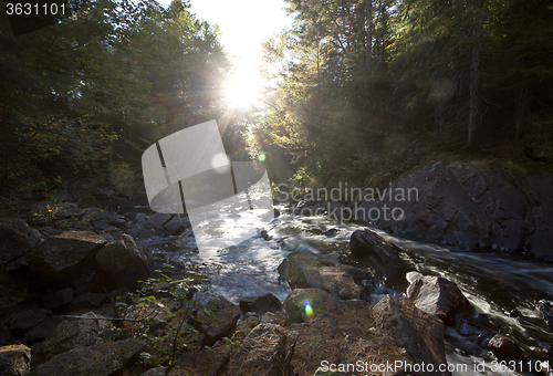 Image of Algonquin Park Muskoka Ontario