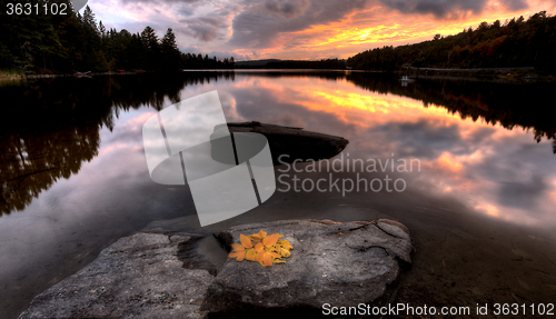 Image of Algonquin Park Muskoka Ontario Lake Wilderness