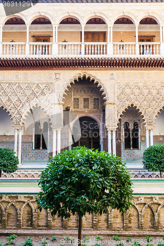 Image of Seville Alcazar Garden