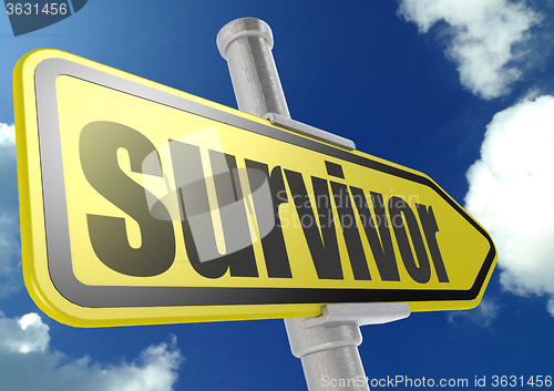 Image of Yellow road sign with survivor word under blue sky