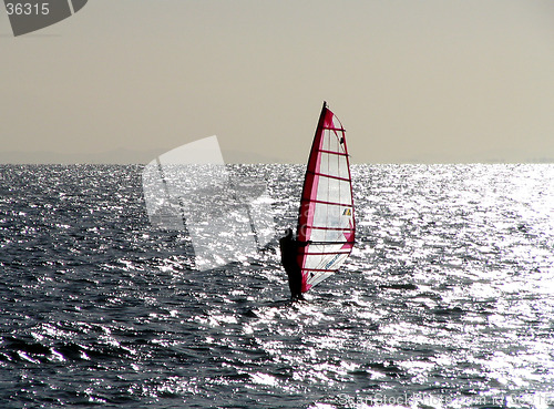 Image of wind surfing
