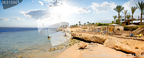 Image of Coral reefs on beach