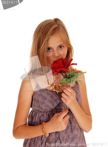 Image of Lovely girl holding up a red roses.