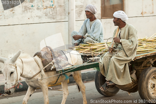 Image of Egyptian men ride his donkey chariot