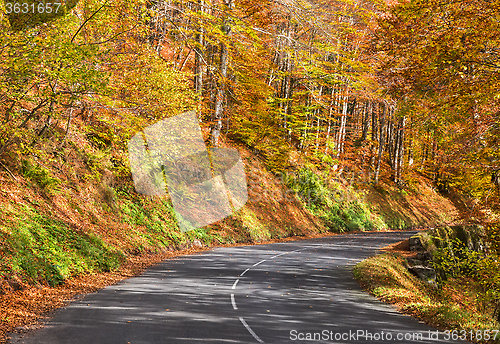 Image of Autumn Road