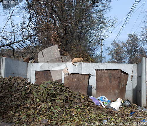 Image of trash cans and lots of leaves