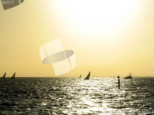 Image of calm ocean