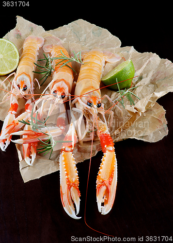 Image of Delicious Raw Langoustines 