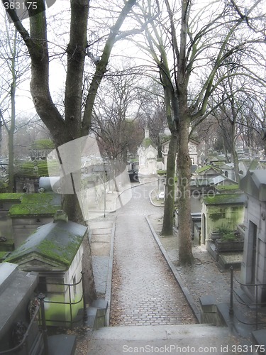 Image of Cemetery alley