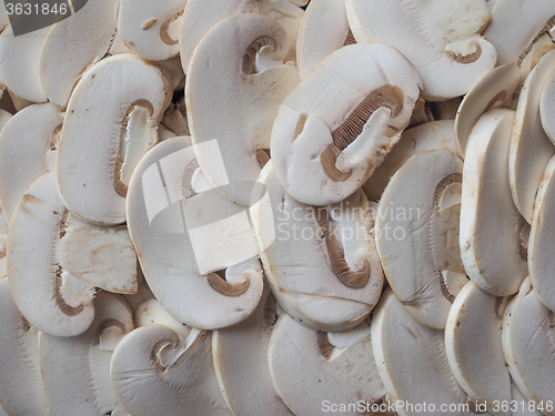 Image of Champignon mushrooms background