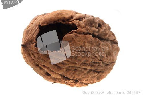 Image of damaged walnut isolated 