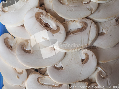 Image of Champignon mushrooms background