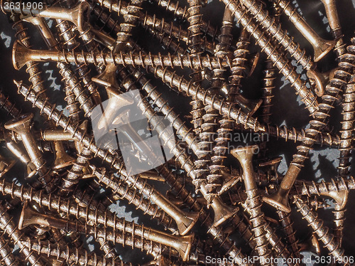 Image of Wood screw