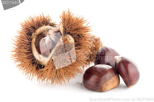 Image of Chestnuts with shell 