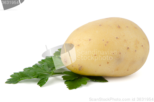 Image of New potatoes and green parsley