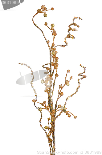 Image of Golden Christmas decoration branches