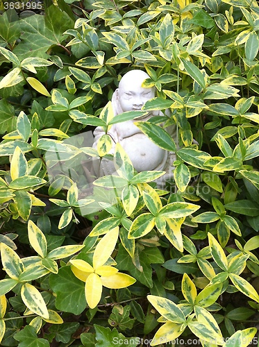 Image of Budda