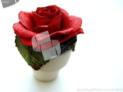 Image of paper rose