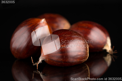 Image of Chestnuts on a black reflective background