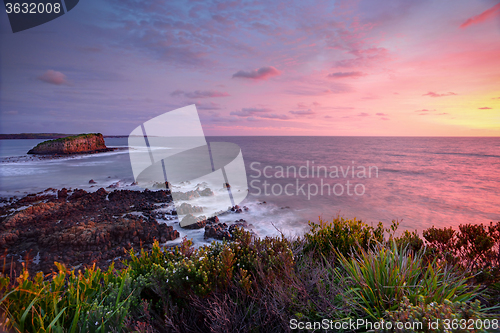 Image of Stack Island and Minamurra in sunrise light