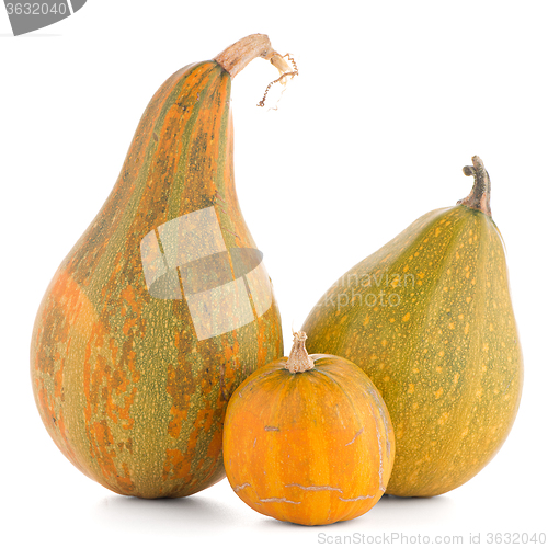 Image of Pumpkins