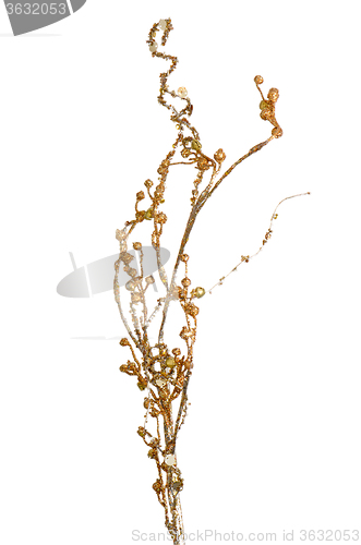 Image of Golden Christmas decoration branches