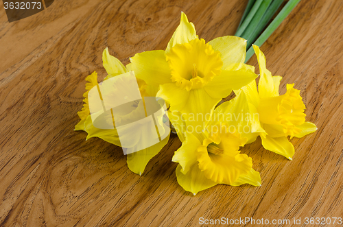 Image of Jonquil flowers