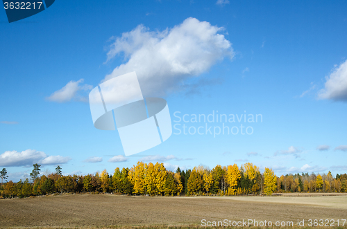 Image of Colorful landscape