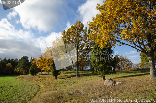 Image of Beautiful landscape at fall