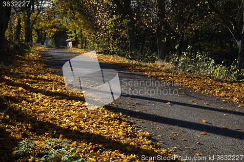 Image of Shiny road