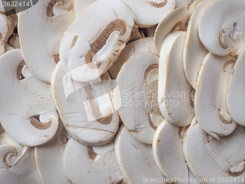 Image of Champignon mushrooms background