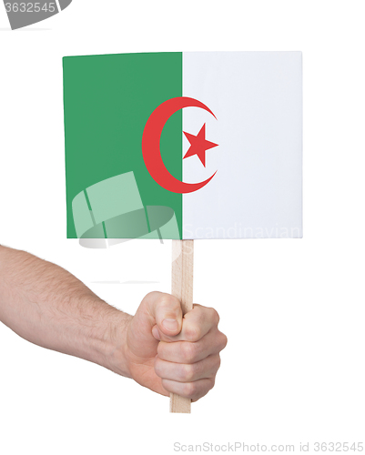 Image of Hand holding small card - Flag of Algeria