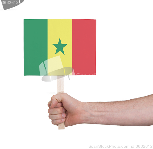 Image of Hand holding small card - Flag of Senegal