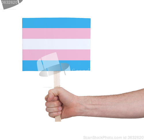 Image of Hand holding small card - Flag of Trans Pride