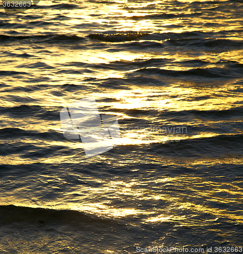 Image of   kho tao bay abstract of a gold in water   south china sea