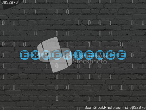 Image of Finance concept: Experience on wall background