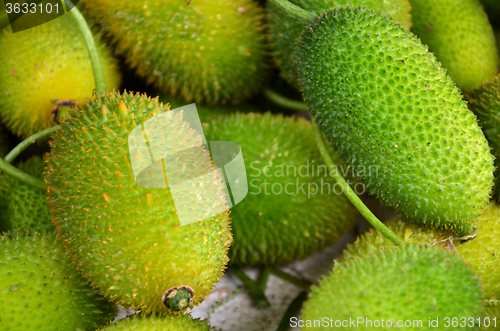 Image of Heap of ripe gac fruit in market