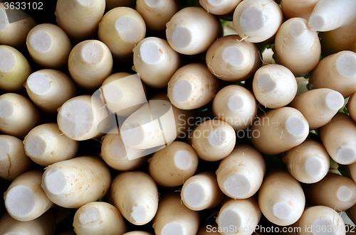 Image of Indian white radishes